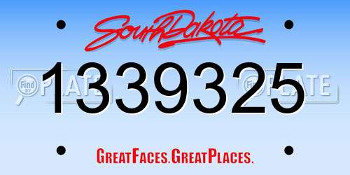1339325 South Dakota License Plate