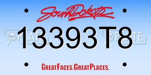 13393T8 South Dakota License Plate