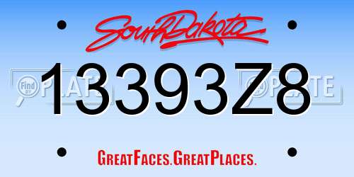 13393Z8 South Dakota License Plate