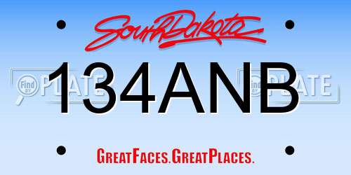 134ANB South Dakota License Plate