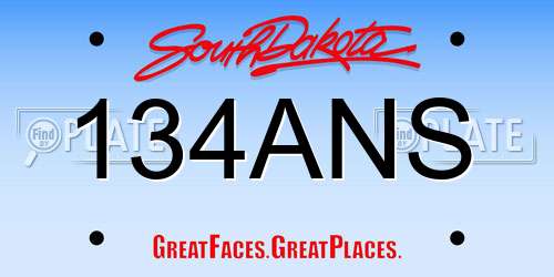 134ANS South Dakota License Plate