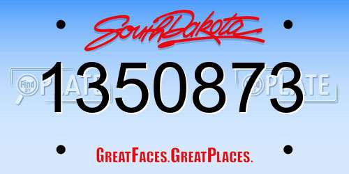 1350873 South Dakota License Plate