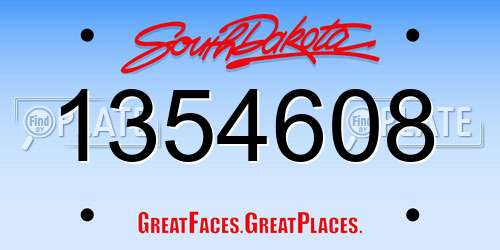 1354608 South Dakota License Plate