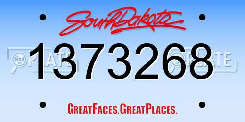 1373268 South Dakota License Plate