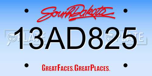 13AD825 South Dakota License Plate