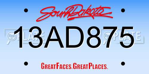 13AD875 South Dakota License Plate