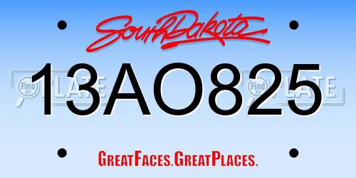 13AO825 South Dakota License Plate