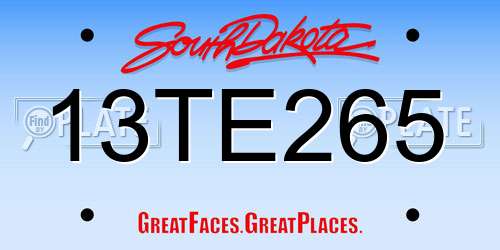 13TE265 South Dakota License Plate