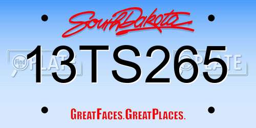 13TS265 South Dakota License Plate