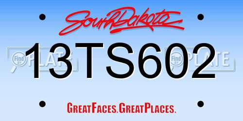 13TS602 South Dakota License Plate