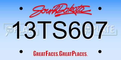 13TS607 South Dakota License Plate