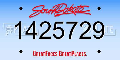 1425729 South Dakota License Plate
