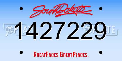 1427229 South Dakota License Plate