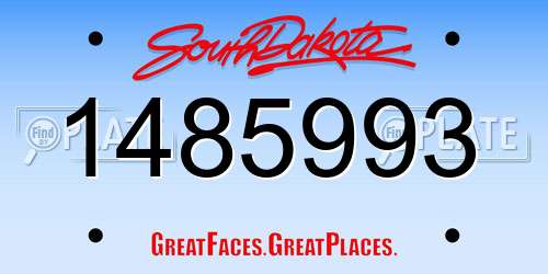 1485993 South Dakota License Plate