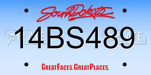 14BS489 South Dakota License Plate
