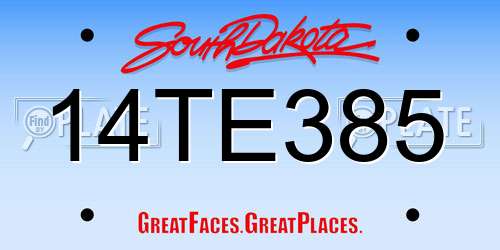 14TE385 South Dakota License Plate