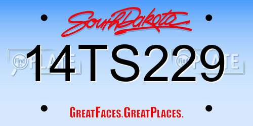 14TS229 South Dakota License Plate