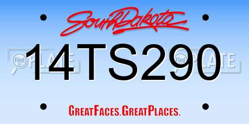 14TS290 South Dakota License Plate