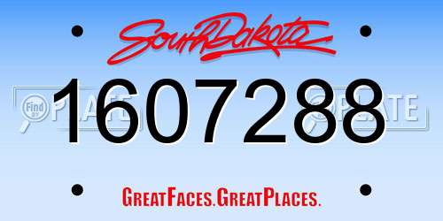 1607288 South Dakota License Plate