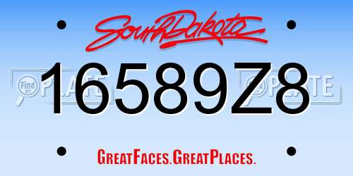16589Z8 South Dakota License Plate