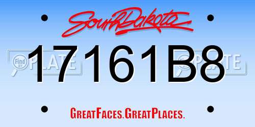 17161B8 South Dakota License Plate