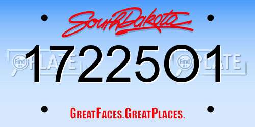 17225O1 South Dakota License Plate