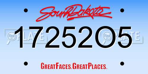 17252O5 South Dakota License Plate