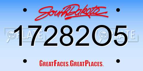 17282O5 South Dakota License Plate