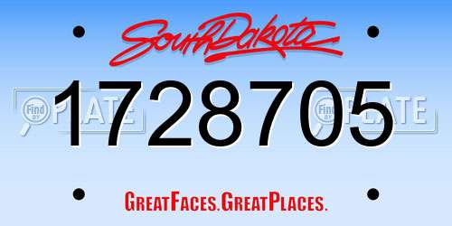 1728705 South Dakota License Plate