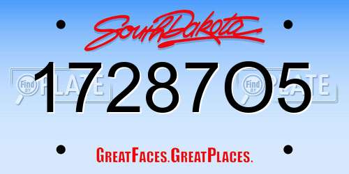 17287O5 South Dakota License Plate
