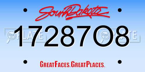 17287O8 South Dakota License Plate