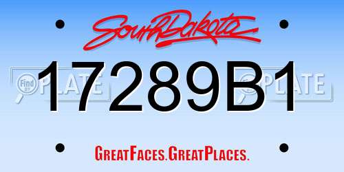 17289B1 South Dakota License Plate