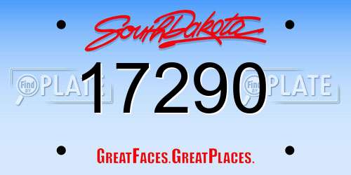 17290 South Dakota License Plate
