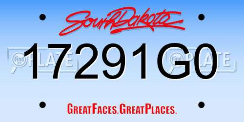 17291G0 South Dakota License Plate
