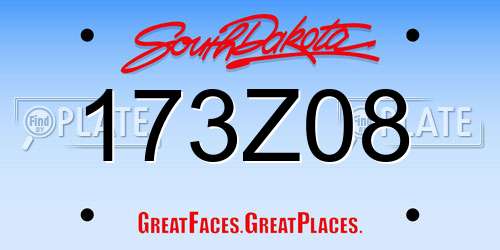 173Z08 South Dakota License Plate