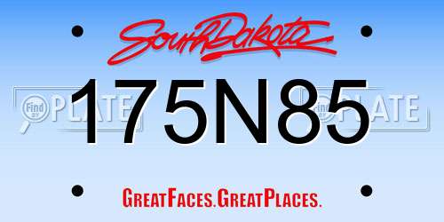 175N85 South Dakota License Plate