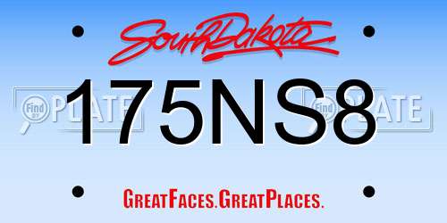 175NS8 South Dakota License Plate