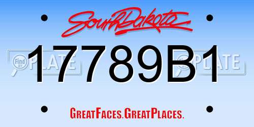 17789B1 South Dakota License Plate