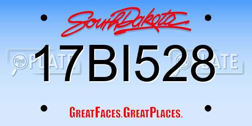 17BI528 South Dakota License Plate