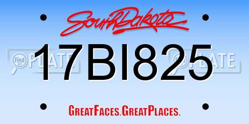 17BI825 South Dakota License Plate