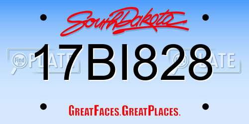17BI828 South Dakota License Plate