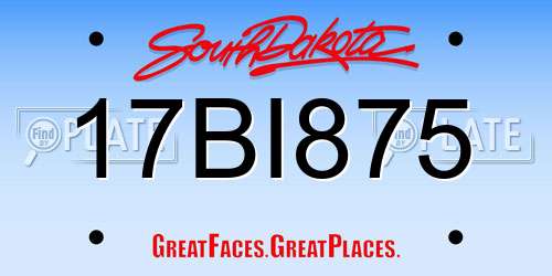 17BI875 South Dakota License Plate