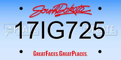 17IG725 South Dakota License Plate