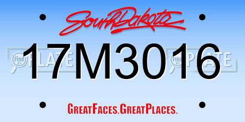 17M3016 South Dakota License Plate