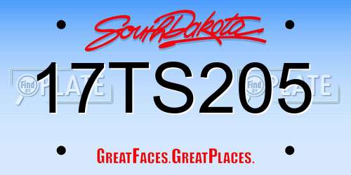 17TS205 South Dakota License Plate