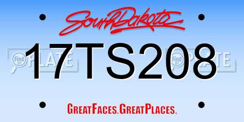 17TS208 South Dakota License Plate