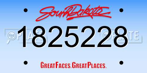 1825228 South Dakota License Plate