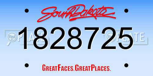 1828725 South Dakota License Plate