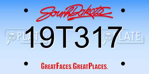 19T317 South Dakota License Plate