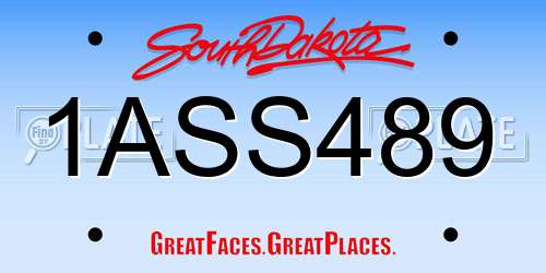 1ASS489 South Dakota License Plate